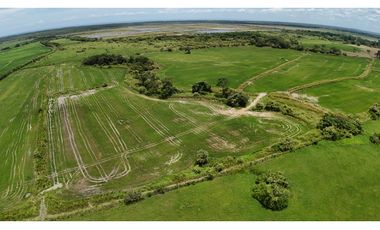 Se Vende Finca en Antón