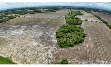 Se Vende Finca en Antón
