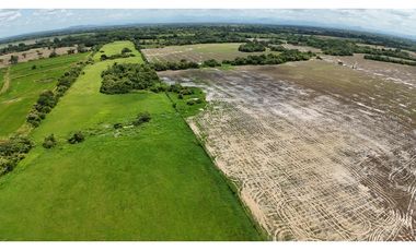 Se Vende Finca en Antón