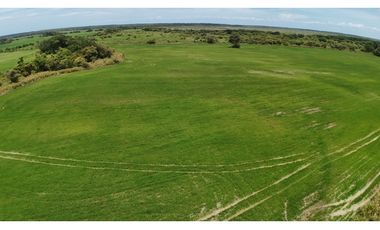Se Vende Finca en Antón