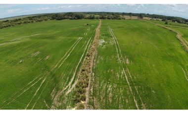 Se Vende Finca en Antón