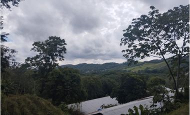 SE VENDE PLANTA AVCOLA CON 4.47 HECTREAS EN VILLA CARMEN, CAPIRA