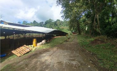 SE VENDE PLANTA AVCOLA CON 4.47 HECTREAS EN VILLA CARMEN, CAPIRA