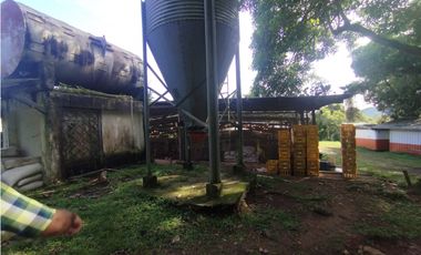 SE VENDE PLANTA AVCOLA CON 4.47 HECTREAS EN VILLA CARMEN, CAPIRA