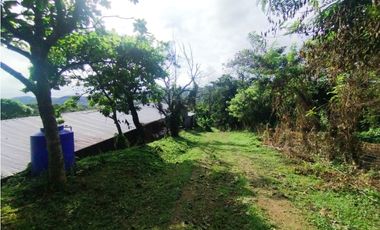 SE VENDE PLANTA AVCOLA CON 4.47 HECTREAS EN VILLA CARMEN, CAPIRA