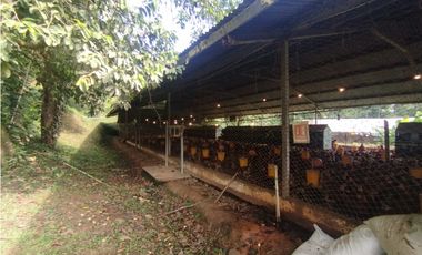 SE VENDE PLANTA AVCOLA CON 4.47 HECTREAS EN VILLA CARMEN, CAPIRA