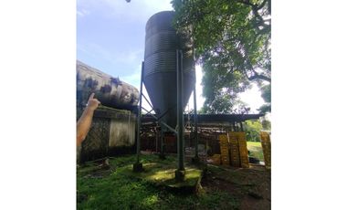 SE VENDE PLANTA AVCOLA CON 4.47 HECTREAS EN VILLA CARMEN, CAPIRA