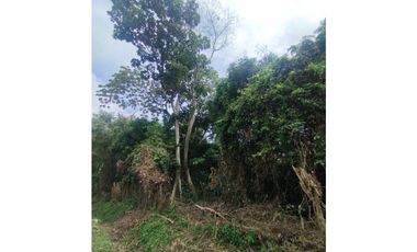 SE VENDE PLANTA AVCOLA CON 4.47 HECTREAS EN VILLA CARMEN, CAPIRA