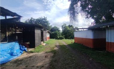 SE VENDE PLANTA AVCOLA CON 4.47 HECTREAS EN VILLA CARMEN, CAPIRA