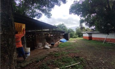 SE VENDE PLANTA AVCOLA CON 4.47 HECTREAS EN VILLA CARMEN, CAPIRA