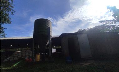 SE VENDE PLANTA AVCOLA CON 4.47 HECTREAS EN VILLA CARMEN, CAPIRA