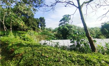 SE VENDE PLANTA AVCOLA CON 4.47 HECTREAS EN VILLA CARMEN, CAPIRA