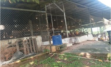 SE VENDE PLANTA AVCOLA CON 4.47 HECTREAS EN VILLA CARMEN, CAPIRA