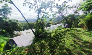 SE VENDE PLANTA AVCOLA CON 4.47 HECTREAS EN VILLA CARMEN, CAPIRA