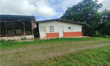 SE VENDE PLANTA AVCOLA CON 4.47 HECTREAS EN VILLA CARMEN, CAPIRA