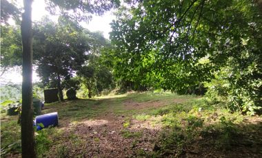 SE VENDE PLANTA AVCOLA CON 4.47 HECTREAS EN VILLA CARMEN, CAPIRA