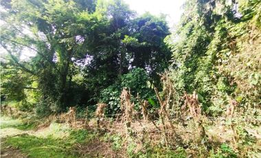 SE VENDE PLANTA AVCOLA CON 4.47 HECTREAS EN VILLA CARMEN, CAPIRA