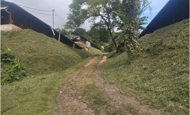 SE VENDE PLANTA AVCOLA CON 4.47 HECTREAS EN VILLA CARMEN, CAPIRA