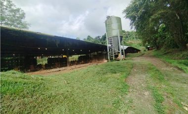 SE VENDE PLANTA AVCOLA CON 4.47 HECTREAS EN VILLA CARMEN, CAPIRA