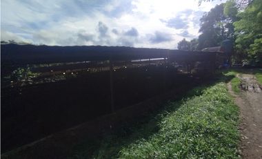 SE VENDE PLANTA AVCOLA CON 4.47 HECTREAS EN VILLA CARMEN, CAPIRA