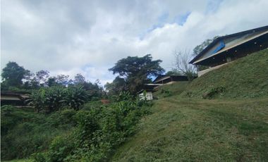 SE VENDE PLANTA AVCOLA CON 4.47 HECTREAS EN VILLA CARMEN, CAPIRA