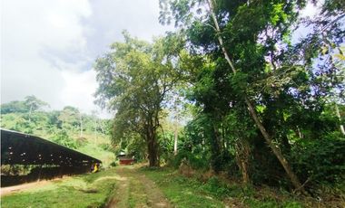 SE VENDE PLANTA AVCOLA CON 4.47 HECTREAS EN VILLA CARMEN, CAPIRA