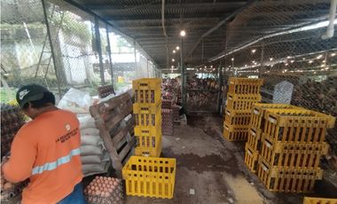 SE VENDE PLANTA AVCOLA CON 4.47 HECTREAS EN VILLA CARMEN, CAPIRA