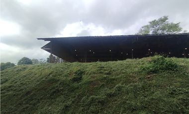 SE VENDE PLANTA AVCOLA CON 4.47 HECTREAS EN VILLA CARMEN, CAPIRA