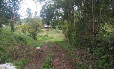 SE VENDE PLANTA AVCOLA CON 4.47 HECTREAS EN VILLA CARMEN, CAPIRA