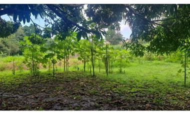 SE VENDE TERRENO EN PACORA