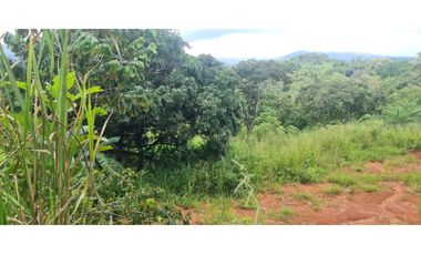 SE VENDE TERRENO EN PACORA
