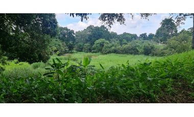 SE VENDE TERRENO EN PACORA