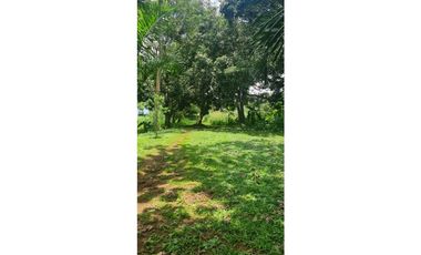 SE VENDE TERRENO EN PACORA