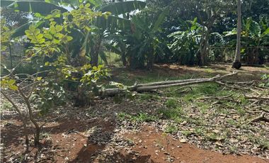 Se vende lote en Piedras Blancas, Chorrera