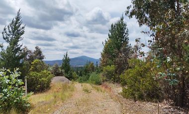 Venta a Puerta Cerrada 50Ha+46 Lotes 0.5 Ha