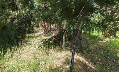 Venta a Puerta Cerrada 50Ha+46 Lotes 0.5 Ha