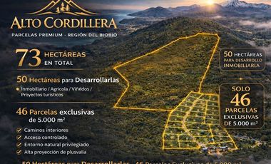 Venta a Puerta Cerrada 50Ha+46 Lotes 0.5 Ha