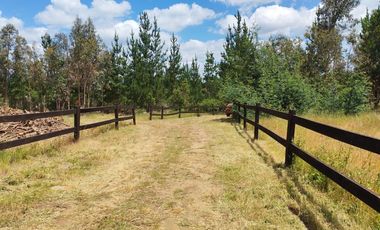 Venta a Puerta Cerrada 50Ha+46 Lotes 0.5 Ha