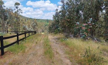 Venta a Puerta Cerrada 50Ha+46 Lotes 0.5 Ha