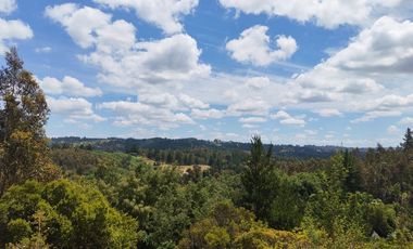 Venta a Puerta Cerrada 50Ha+46 Lotes 0.5 Ha