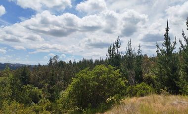 Venta a Puerta Cerrada 50Ha+46 Lotes 0.5 Ha