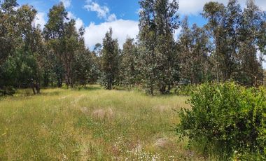 Venta a Puerta Cerrada 50Ha+46 Lotes 0.5 Ha
