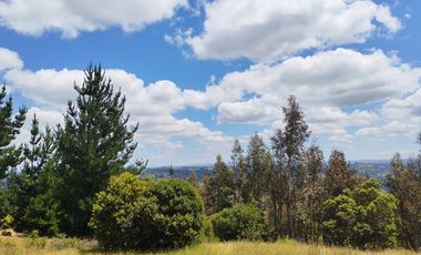 Venta a Puerta Cerrada 50Ha+46 Lotes 0.5 Ha