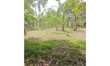 Venta de Terreno con Casa y Finca en Salamanca – Colón