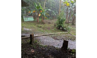 Venta de Terreno con Casa y Finca en Salamanca – Colón