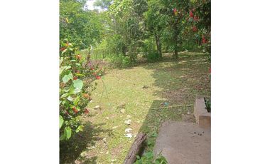 Venta de Terreno con Casa y Finca en Salamanca – Colón