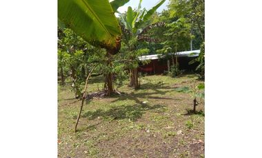 Venta de Terreno con Casa y Finca en Salamanca – Colón