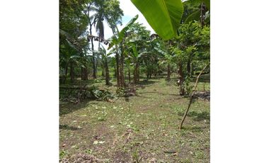 Venta de Terreno con Casa y Finca en Salamanca – Colón