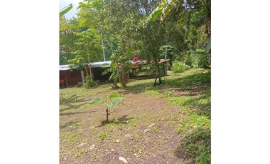 Venta de Terreno con Casa y Finca en Salamanca – Colón