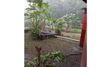 Venta de Terreno con Casa y Finca en Salamanca – Colón